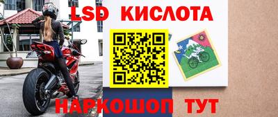 молекула духа Будённовск