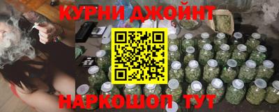 молекула духа Будённовск