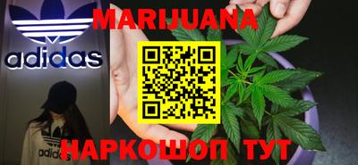 молекула духа Будённовск